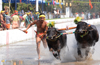 Hundreds of enthusiasts witness Vamanjoor Kambala